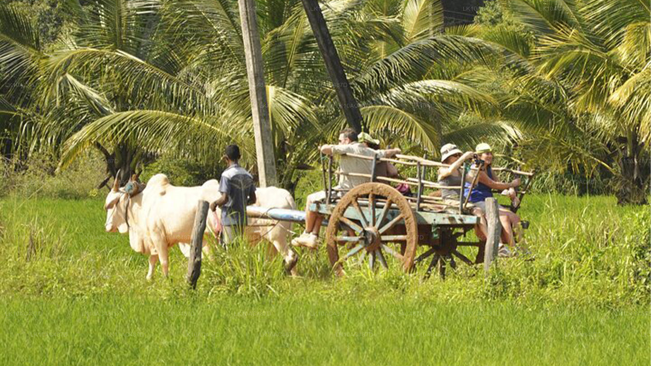 सस्टेनेबल टूर (10 दिन)