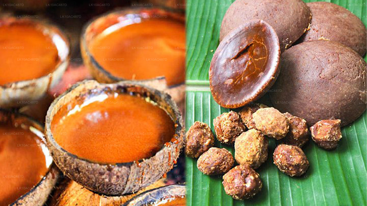 सस्टेनेबल टूर (10 दिन)