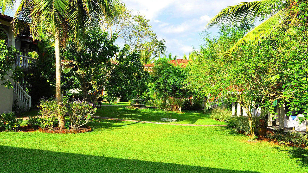 Bougain-Villa