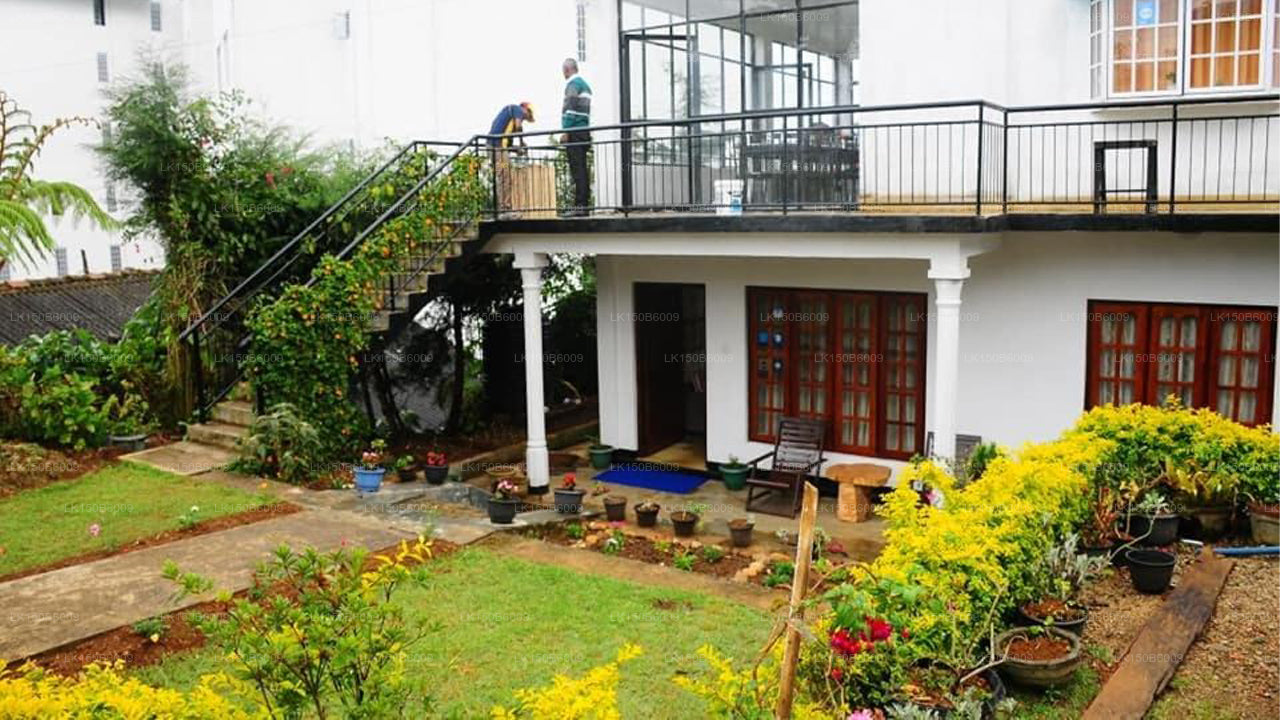 Lassana Villa, Nuwara Eliya