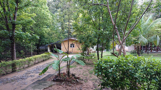 Ashane Ferienbungalow, Wasgamuwa