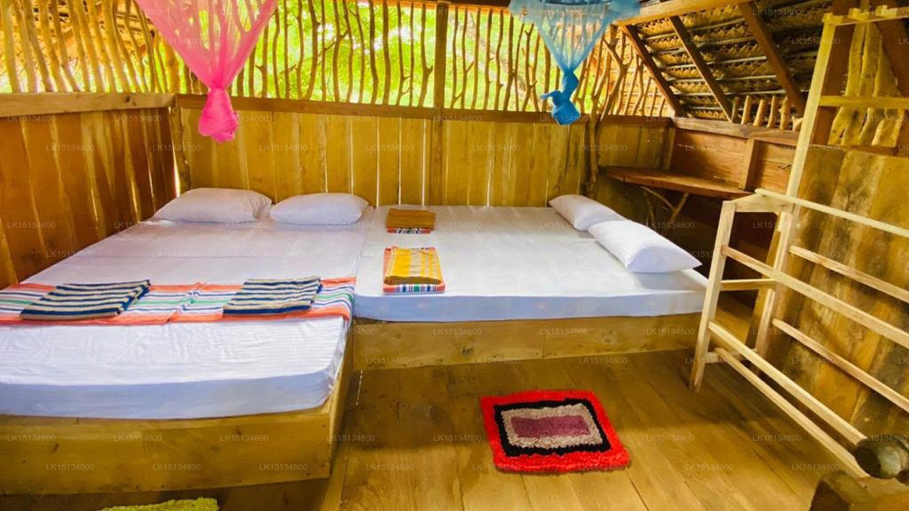 Eco Tree House, Tangalle