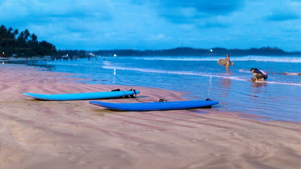 Weligama Bay View, Weligama
