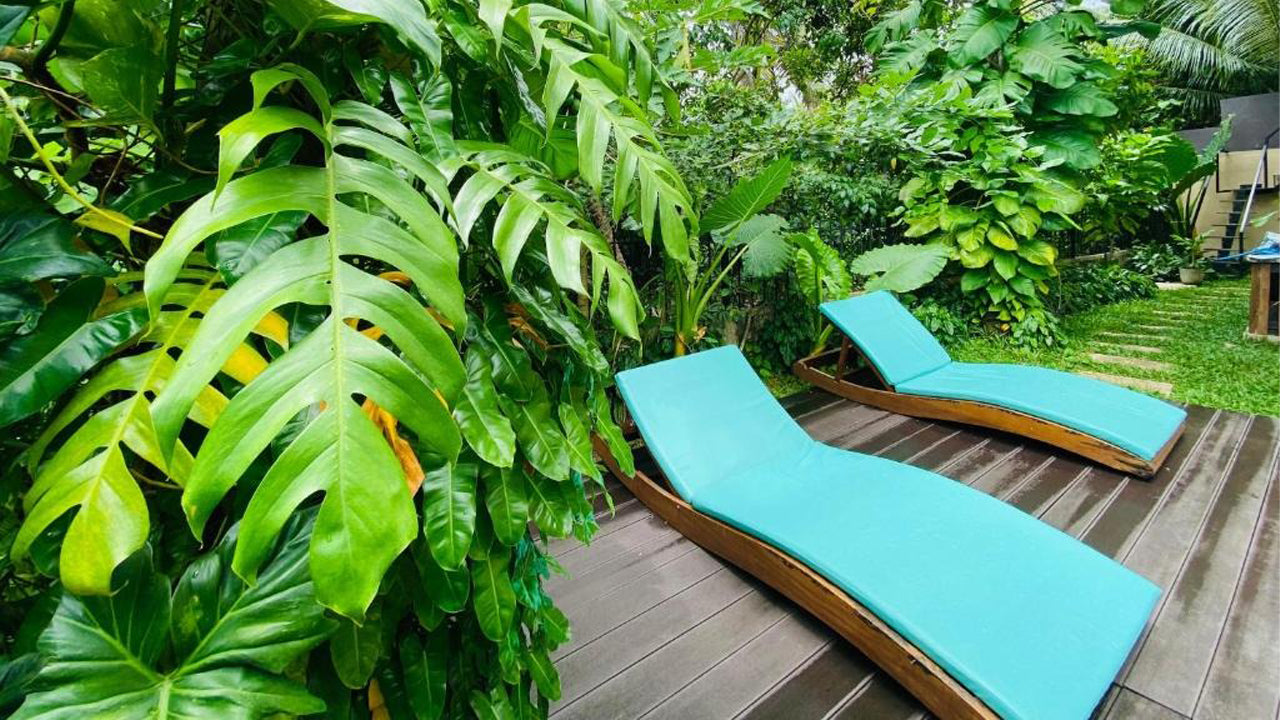 Spicepeek Boutique Hotel, Negombo