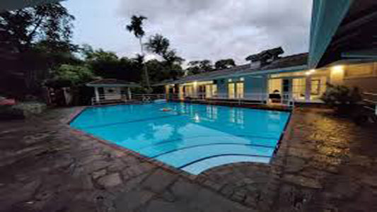 森林边缘,基图尔加勒