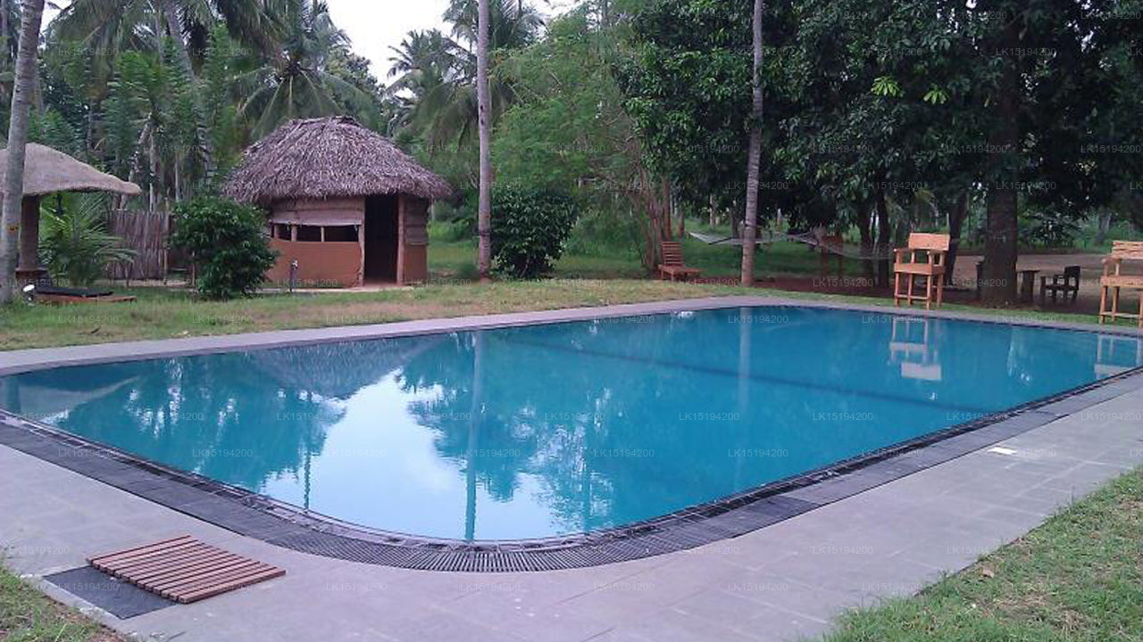 The Grove, Puttalam