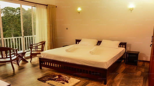 Bee View Home Stay, Kandy