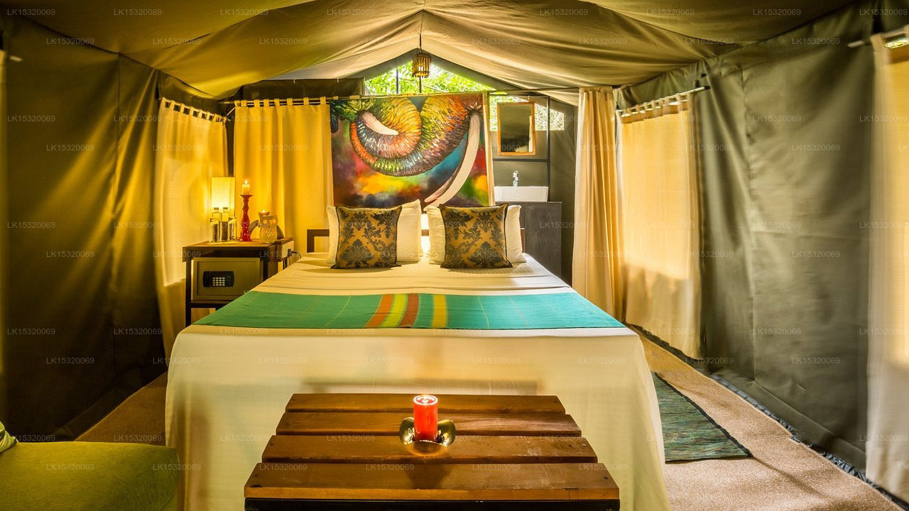 Ceylon Wilpattu Safaris & Lodging