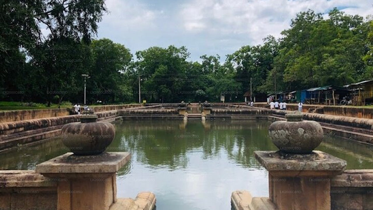 Anuradhapura: Guidet tur til det hellige område med entrébilletter