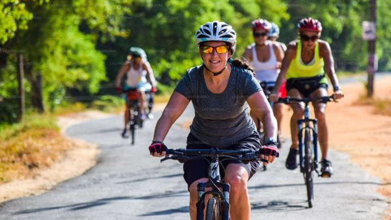 Cykeluthyrning från Galle