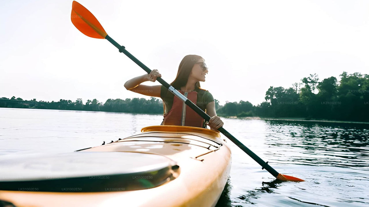 Kayaking Experience in Trincomalee
