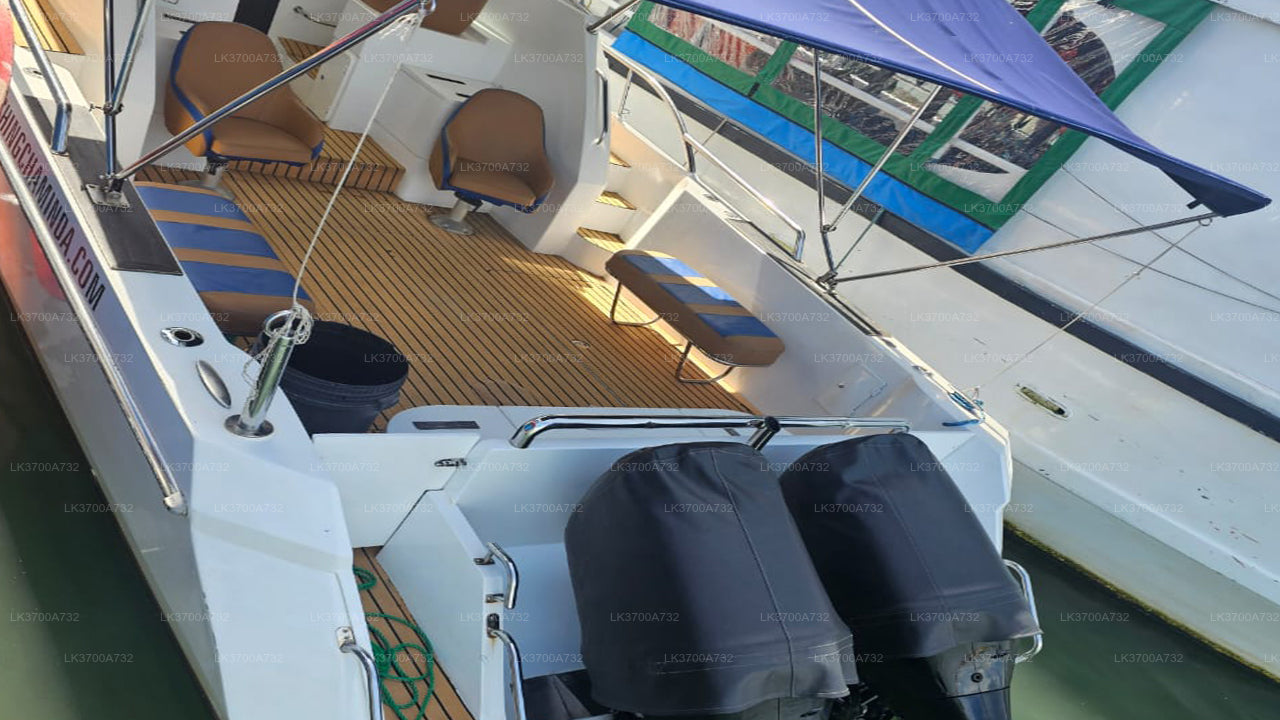 Privévistocht per luxe speedboot vanuit Mirissa