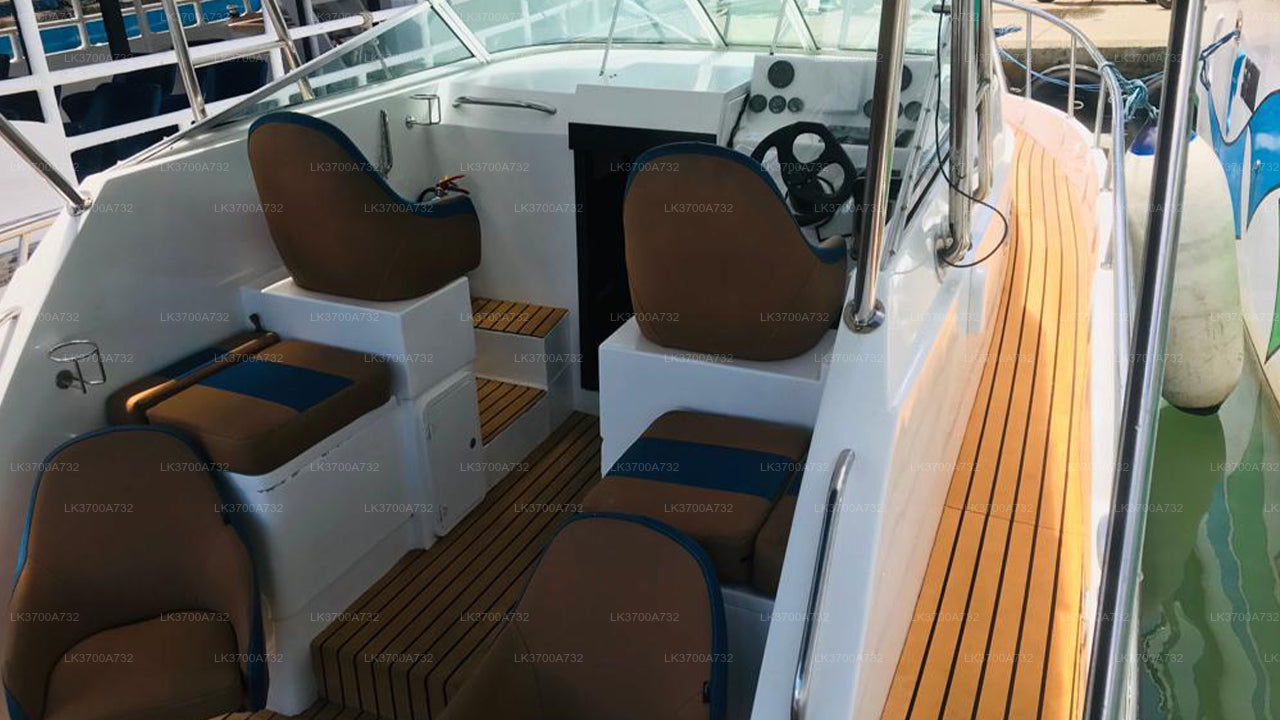 Privévistocht per luxe speedboot vanuit Mirissa