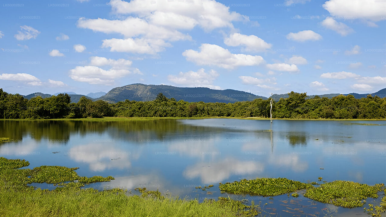Private Tour from Polonnaruwa to Kandy with Wasgamuwa Safari