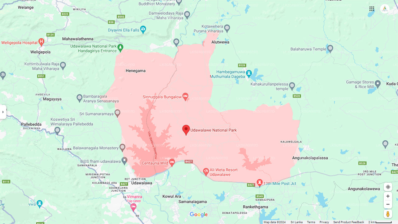 Safari privado com guia naturalista no Parque Nacional de Udawalawe.