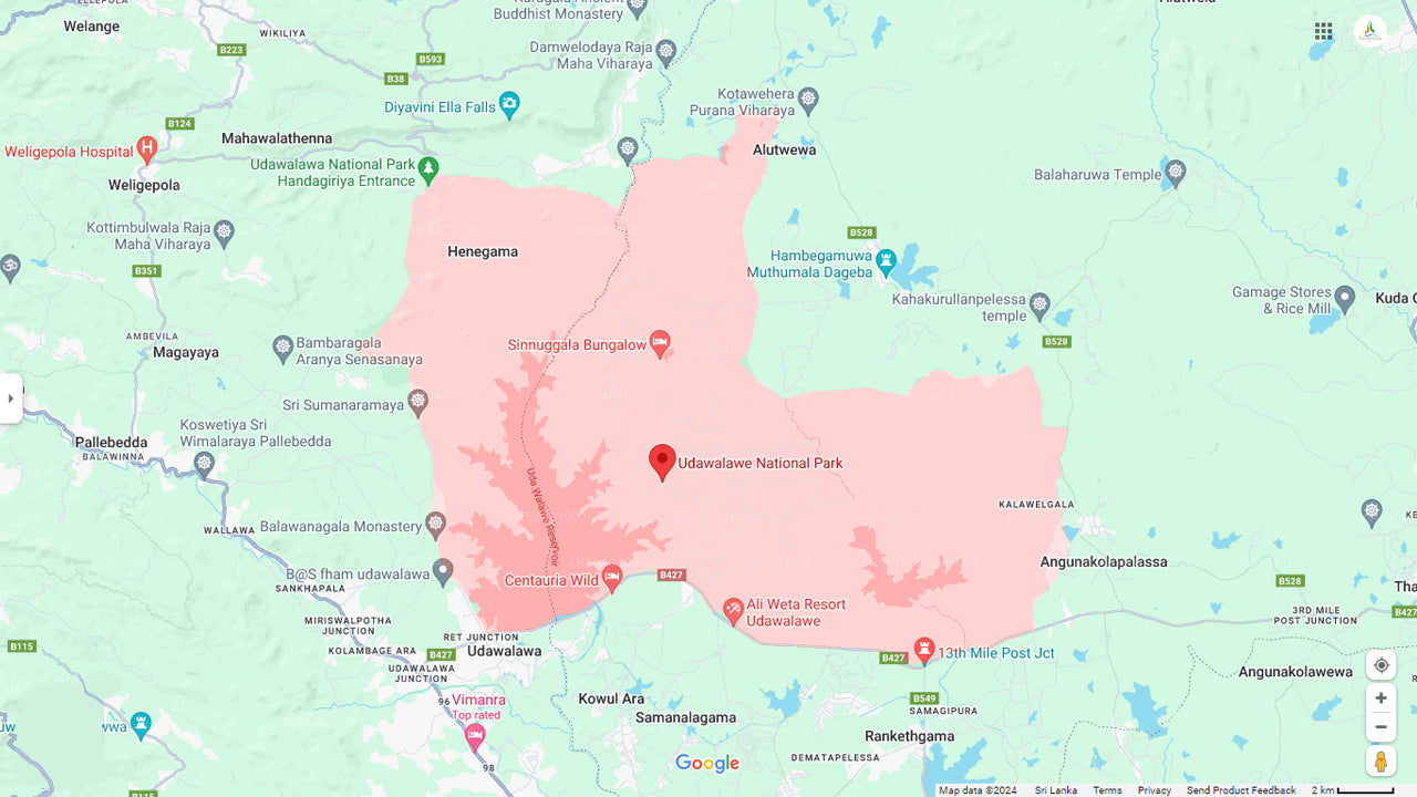 Udawalawe Milli Parkı Özel Safari