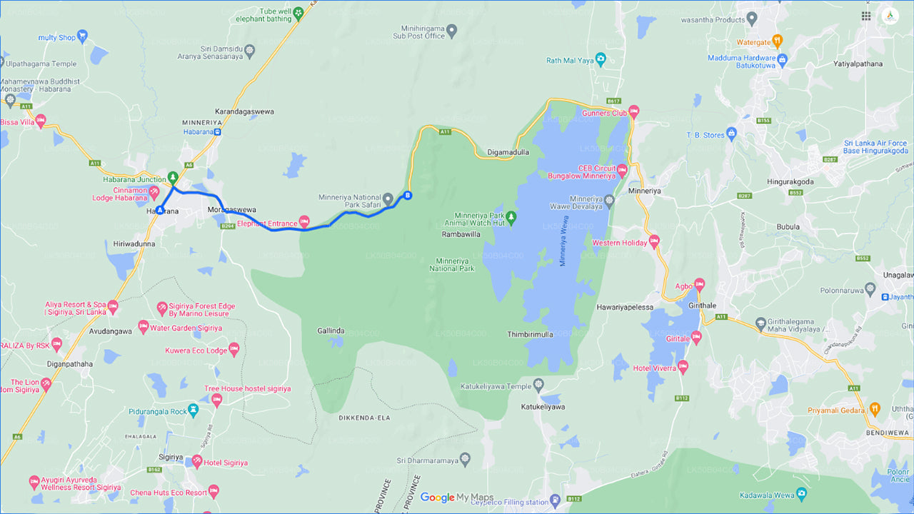 Minneriya Milli Parkı Habarana'dan Özel Safari