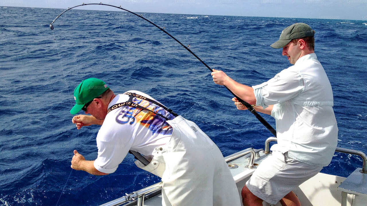 Privévistocht per luxe speedboot vanuit Mirissa