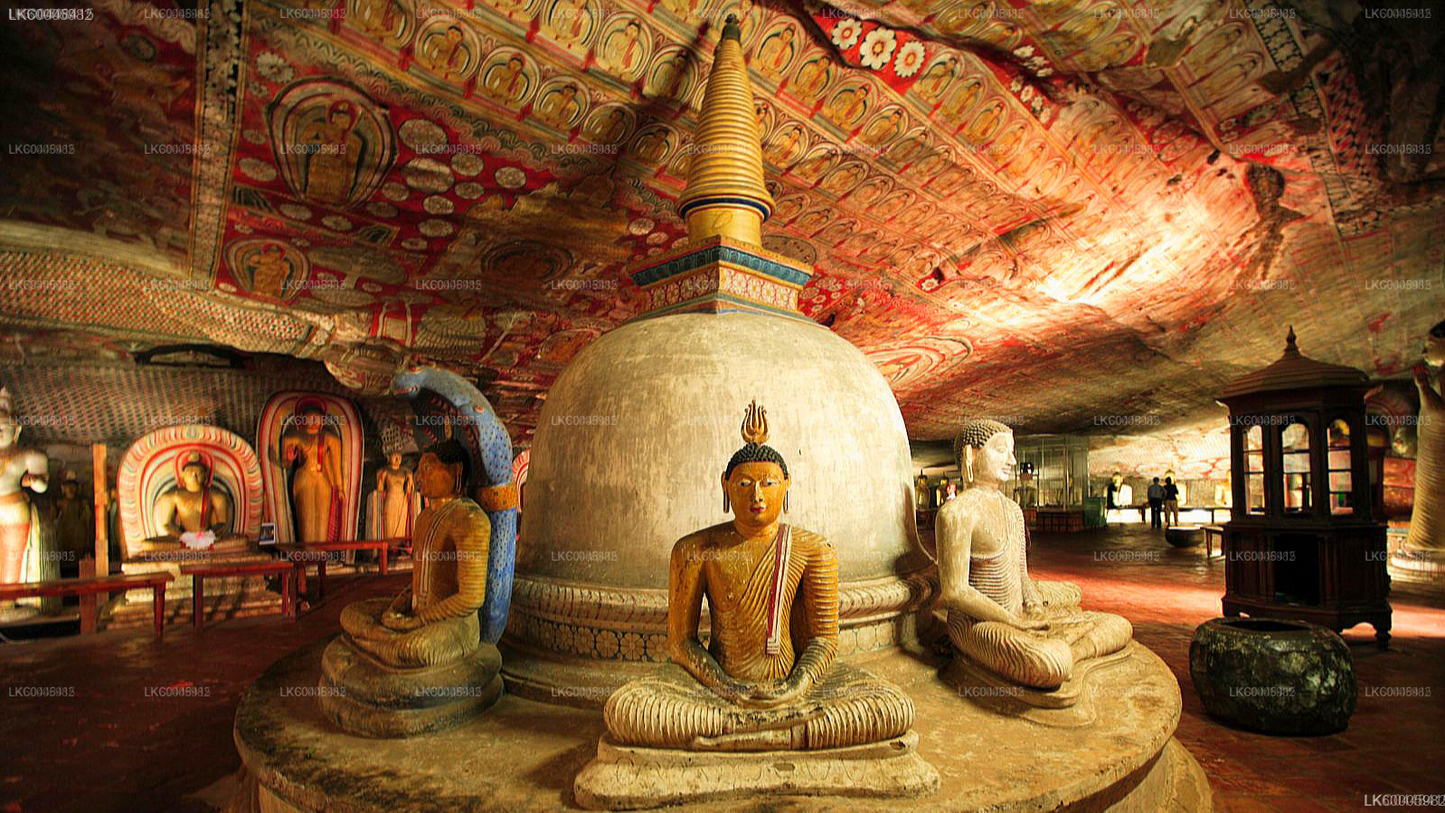 Kandy to Sigiriya Private Transfer with Sightseeing Stops