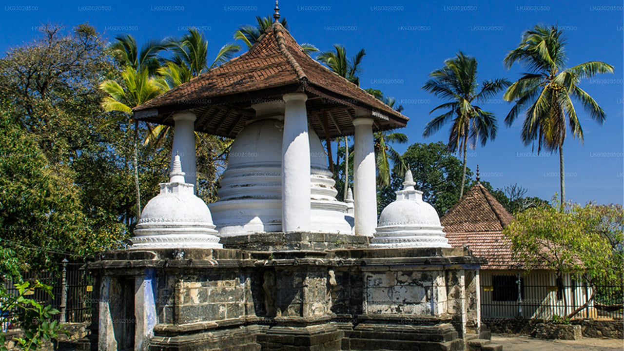 Temple Run Tour from Kandy