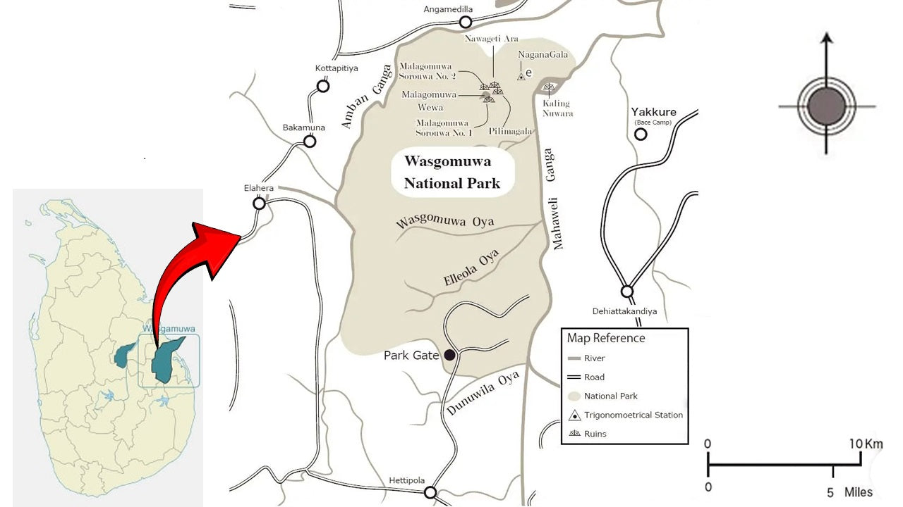 Wasgamuwa National Park Safari from Habarana