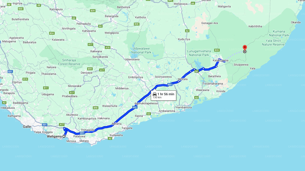 Safari en el Parque Nacional de Yala desde Weligama