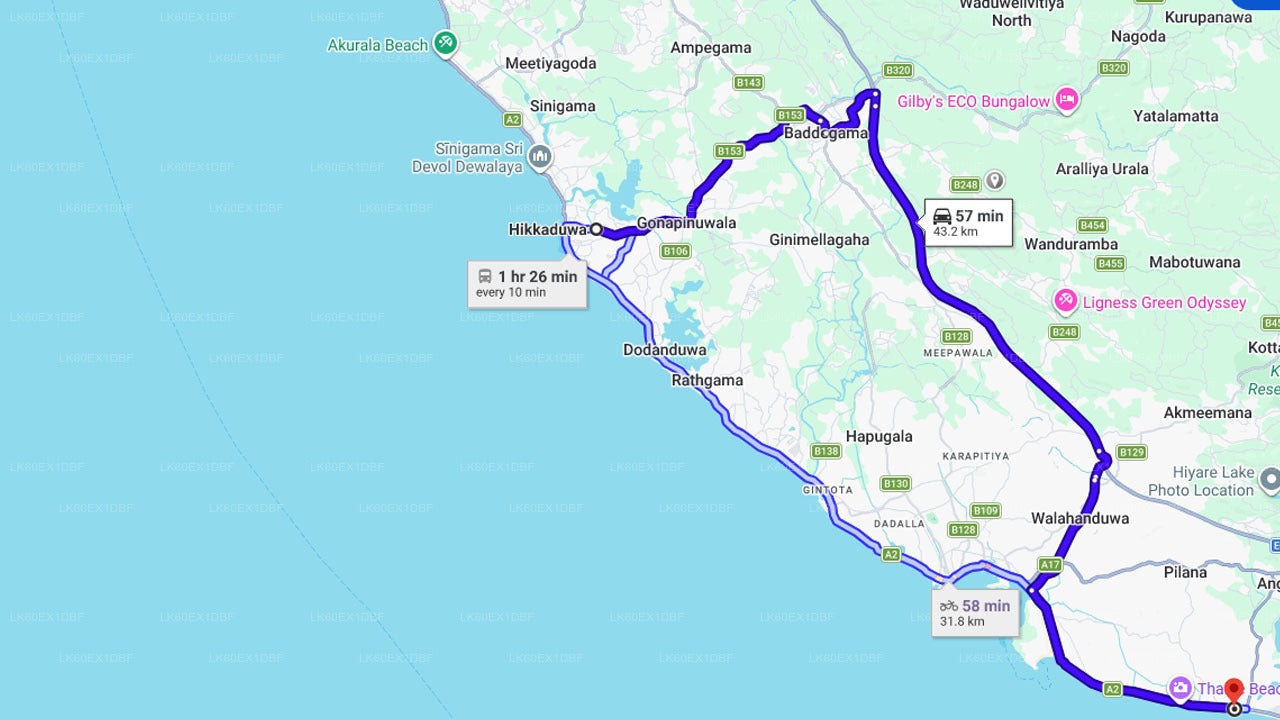 Wypuszczenie małego żółwia z Habaraduwa