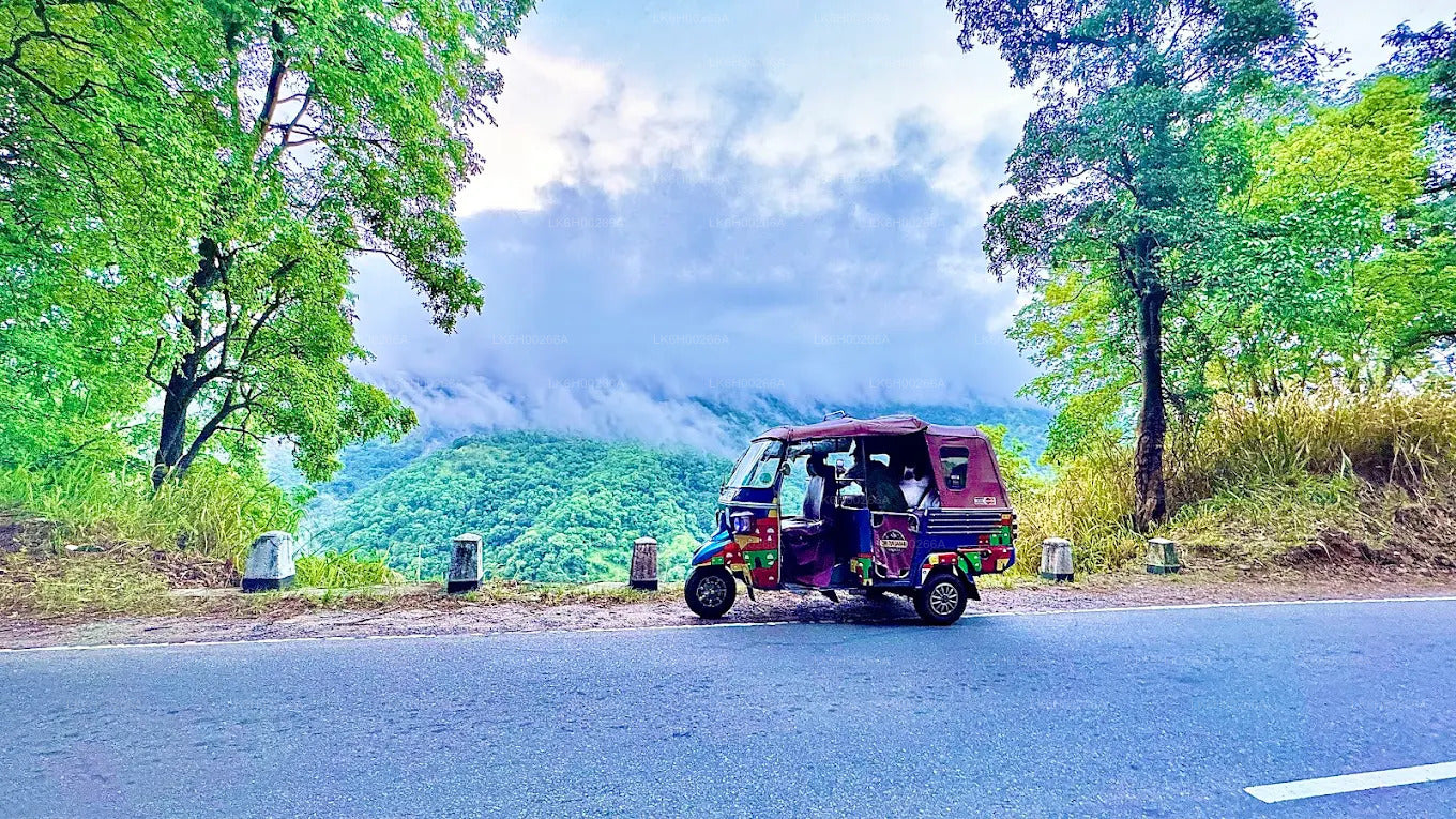 South Coast Tuk Tuk Safari from Galle