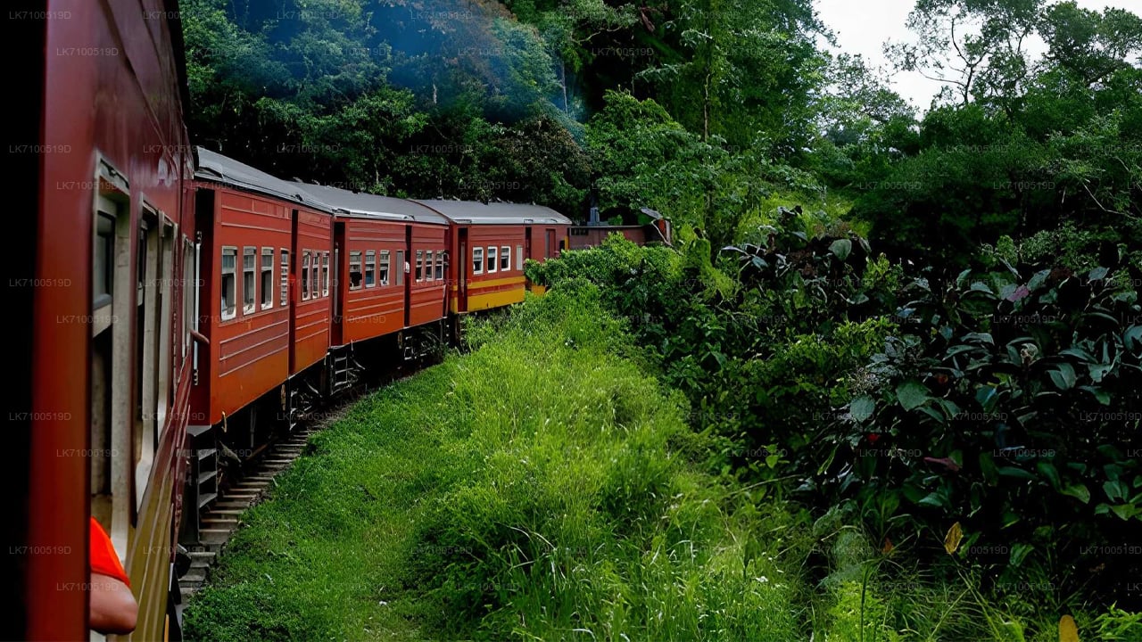 رحلة بالقطار من أمبيويلا إلى إيلا (القطار رقم 1005/1015)