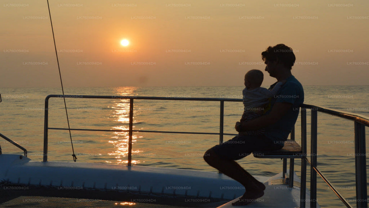 2-timmars båtkryssning från Mirissa