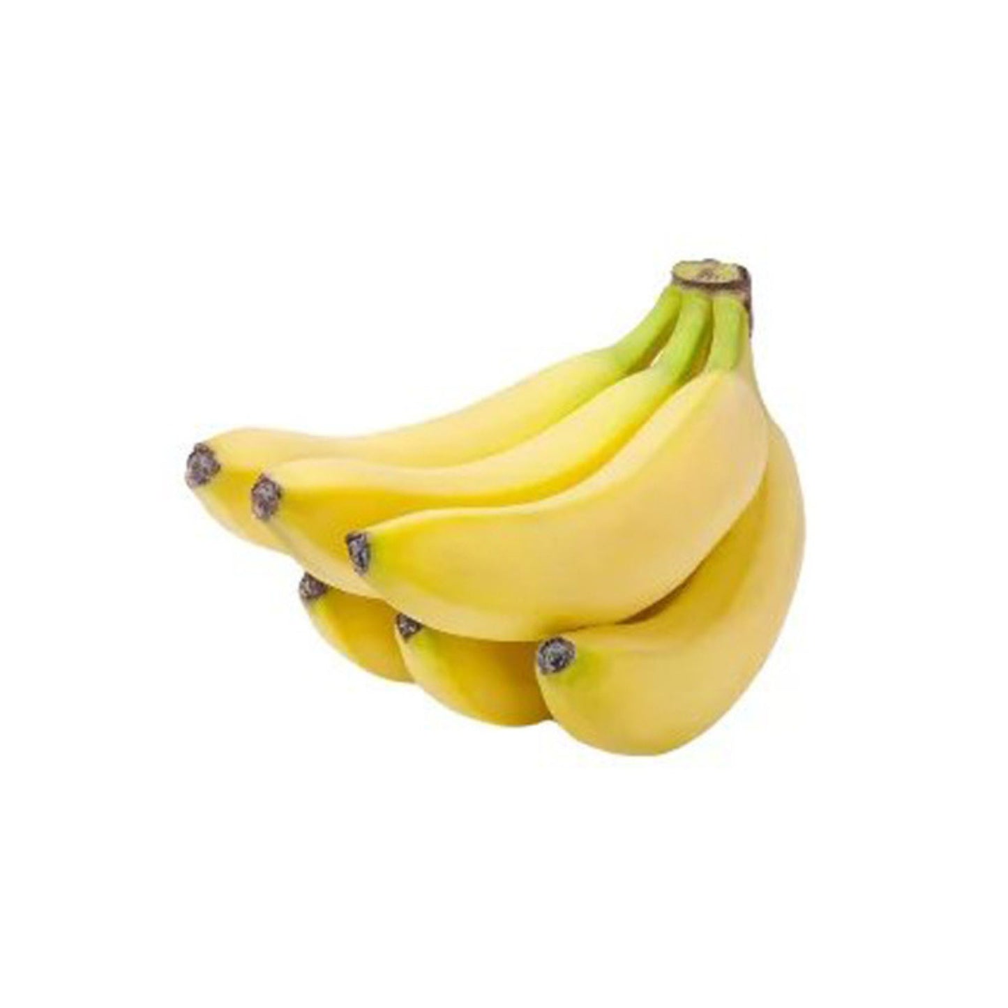 Lakpura® Kolikuttu Banana Plant