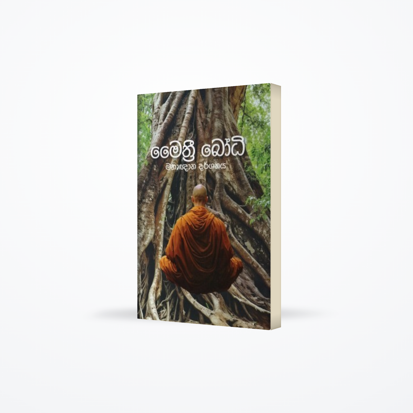Maithree Bodhi