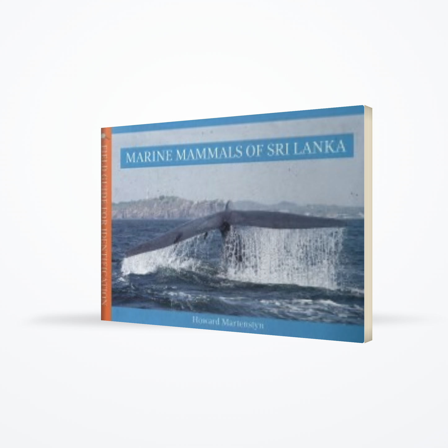 Marine Mammals Of Sri Lanka