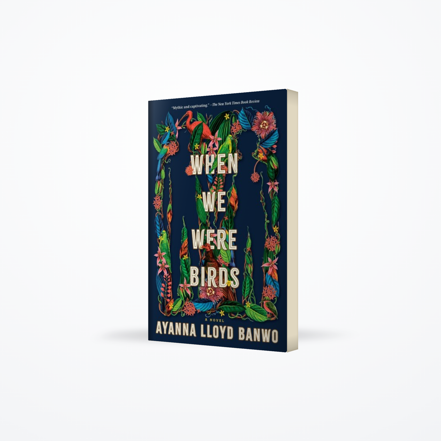 When We Were Birds