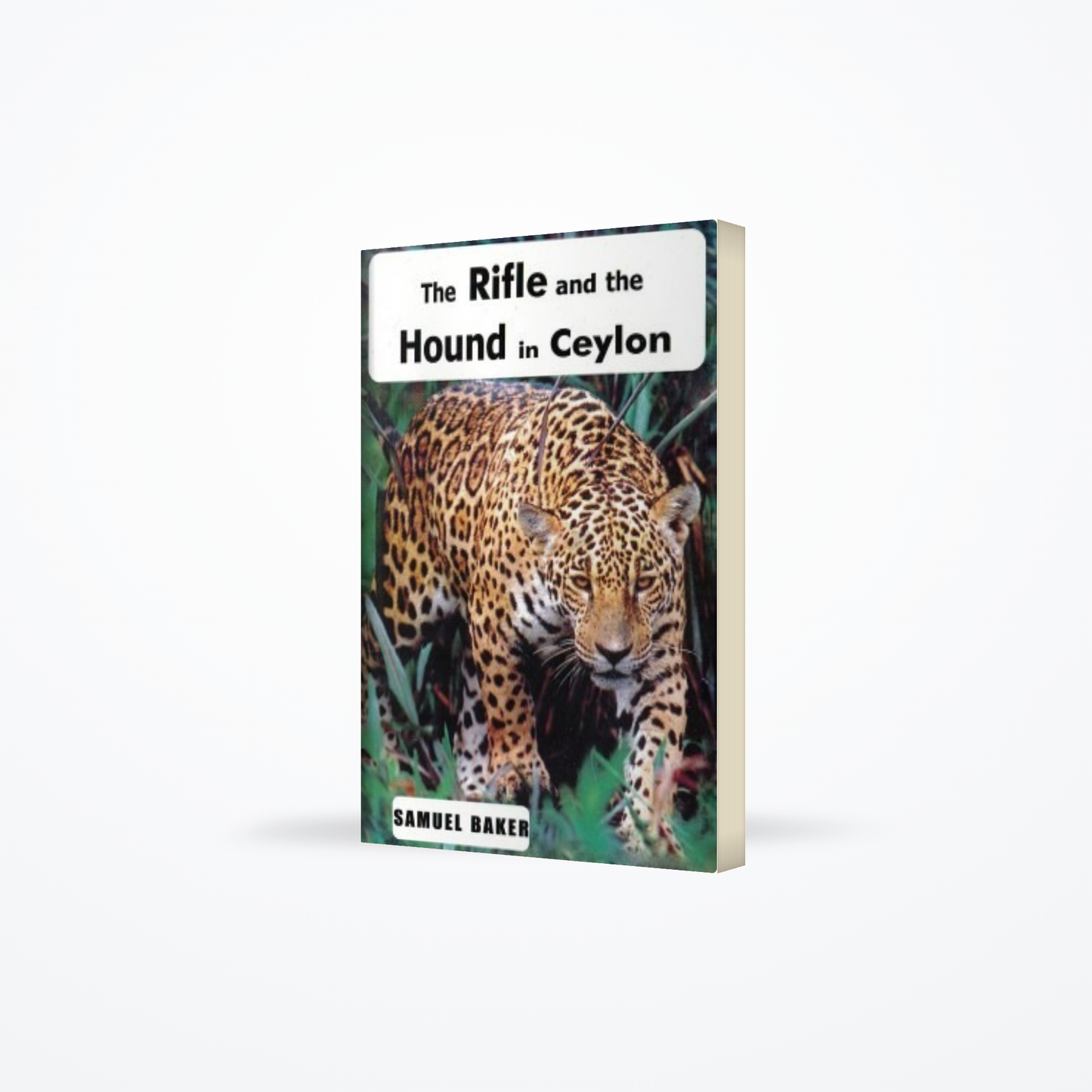 Rifle And The Hound In Ceylon