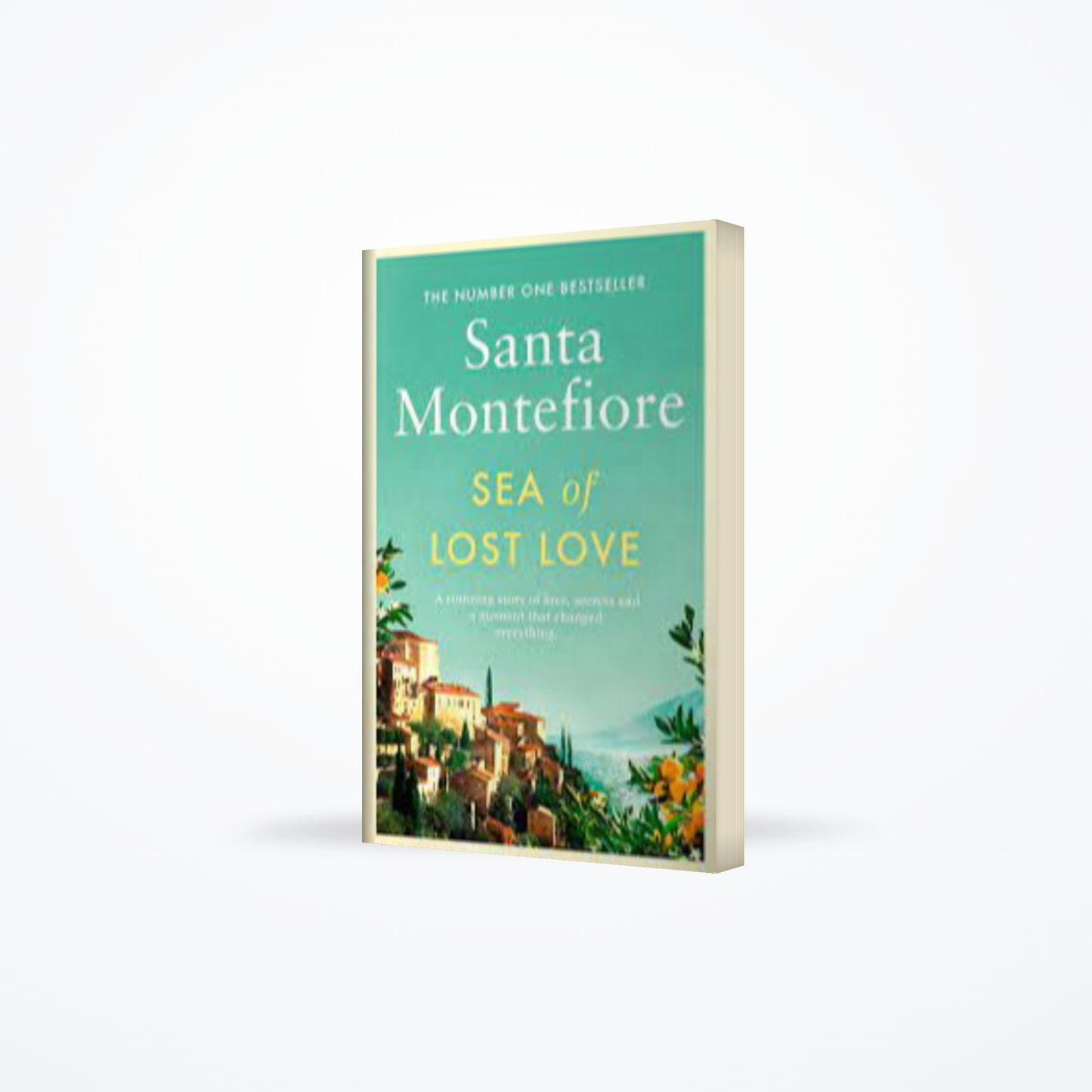 Sea of Lost Love