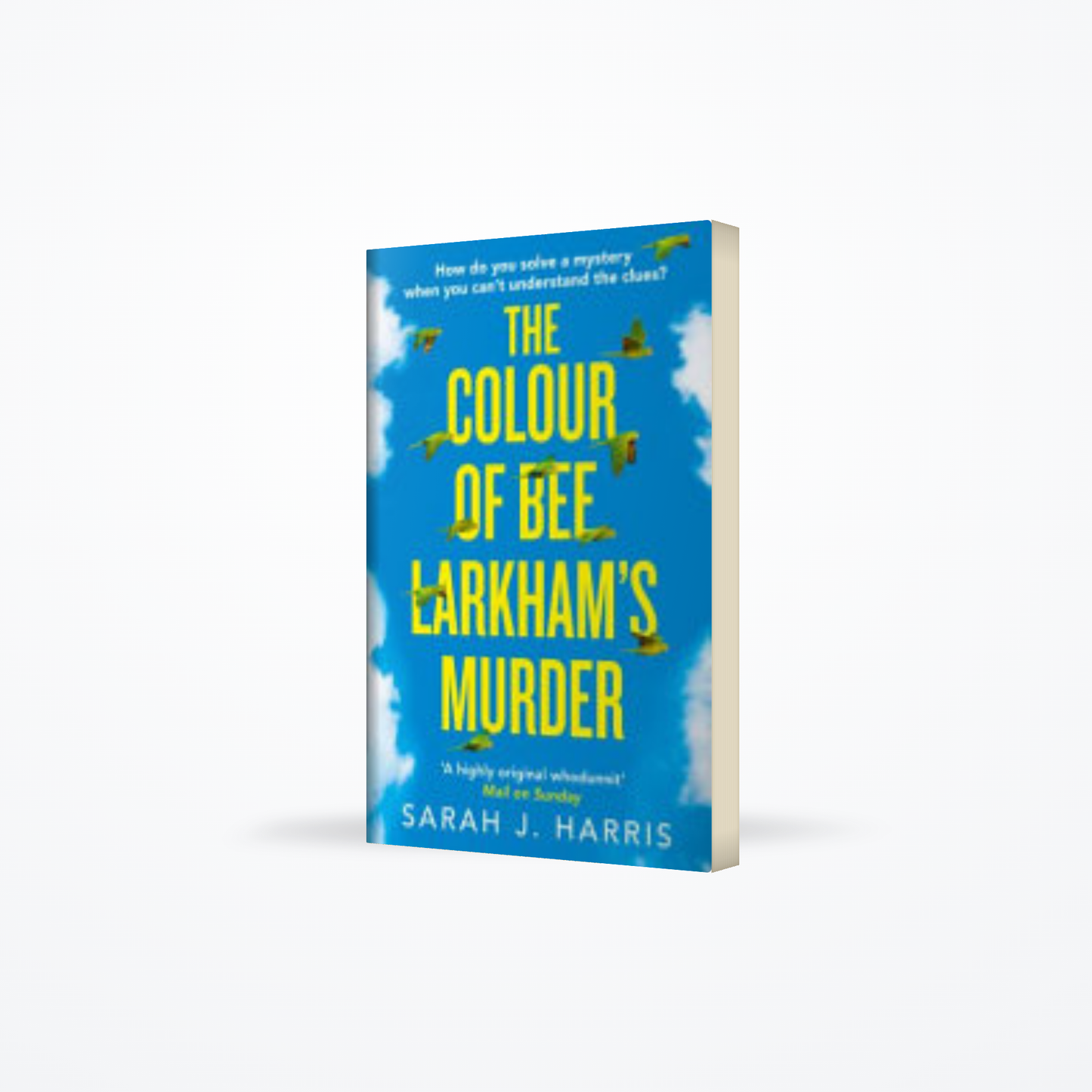 The Colour of Bee Larkhams Murder