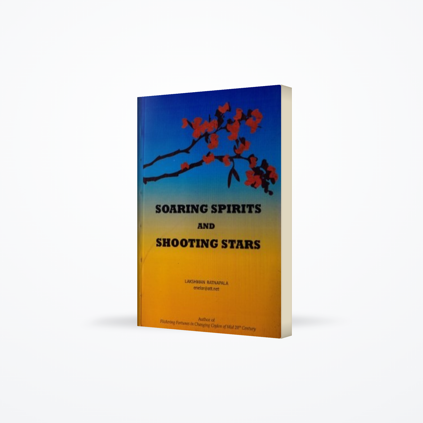 Soaring Spirits and Shooting Stars