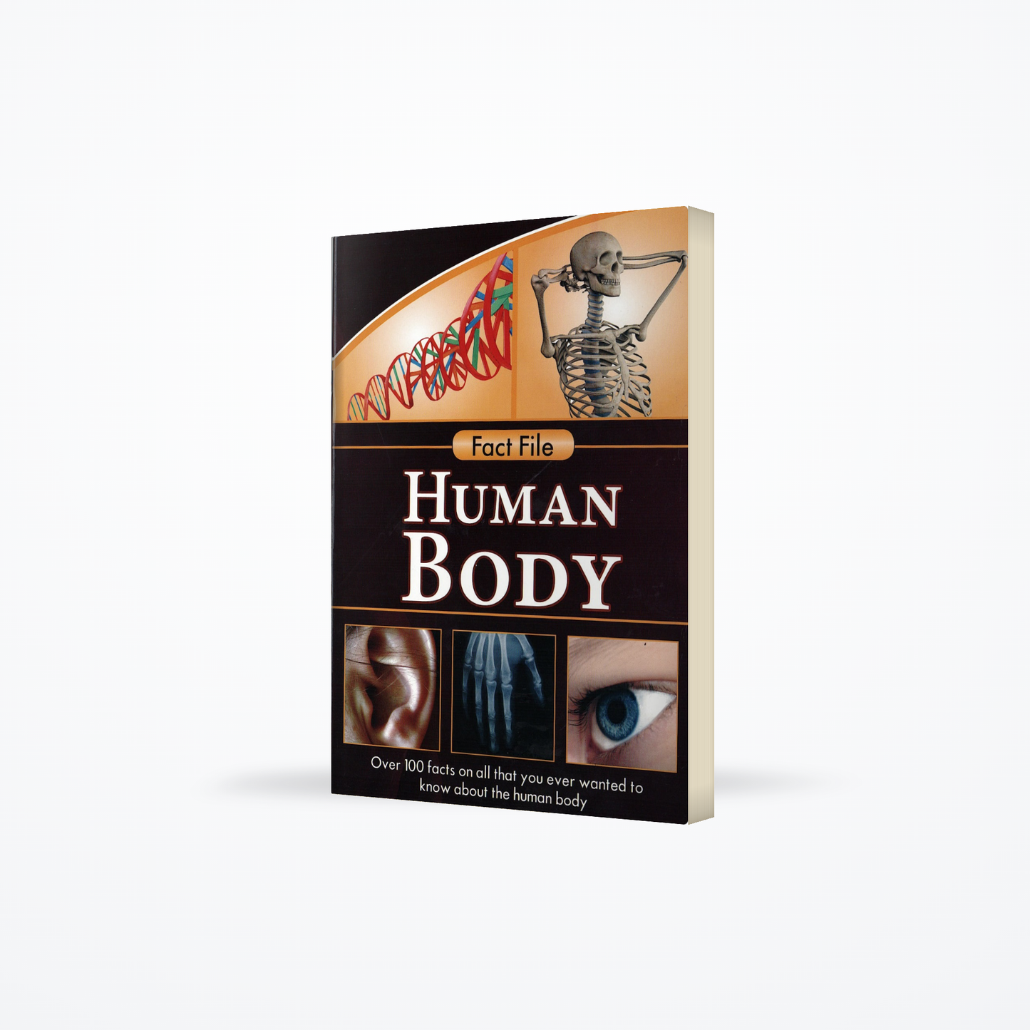 Fact File : Human Body