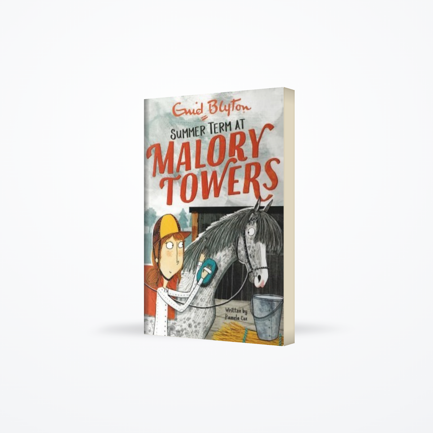 Malory Towers Summer Term : book 08