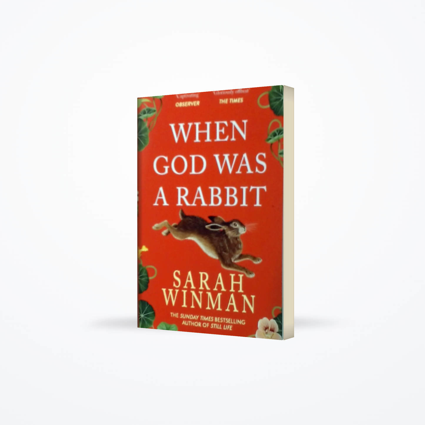 When God Was a Rabbit