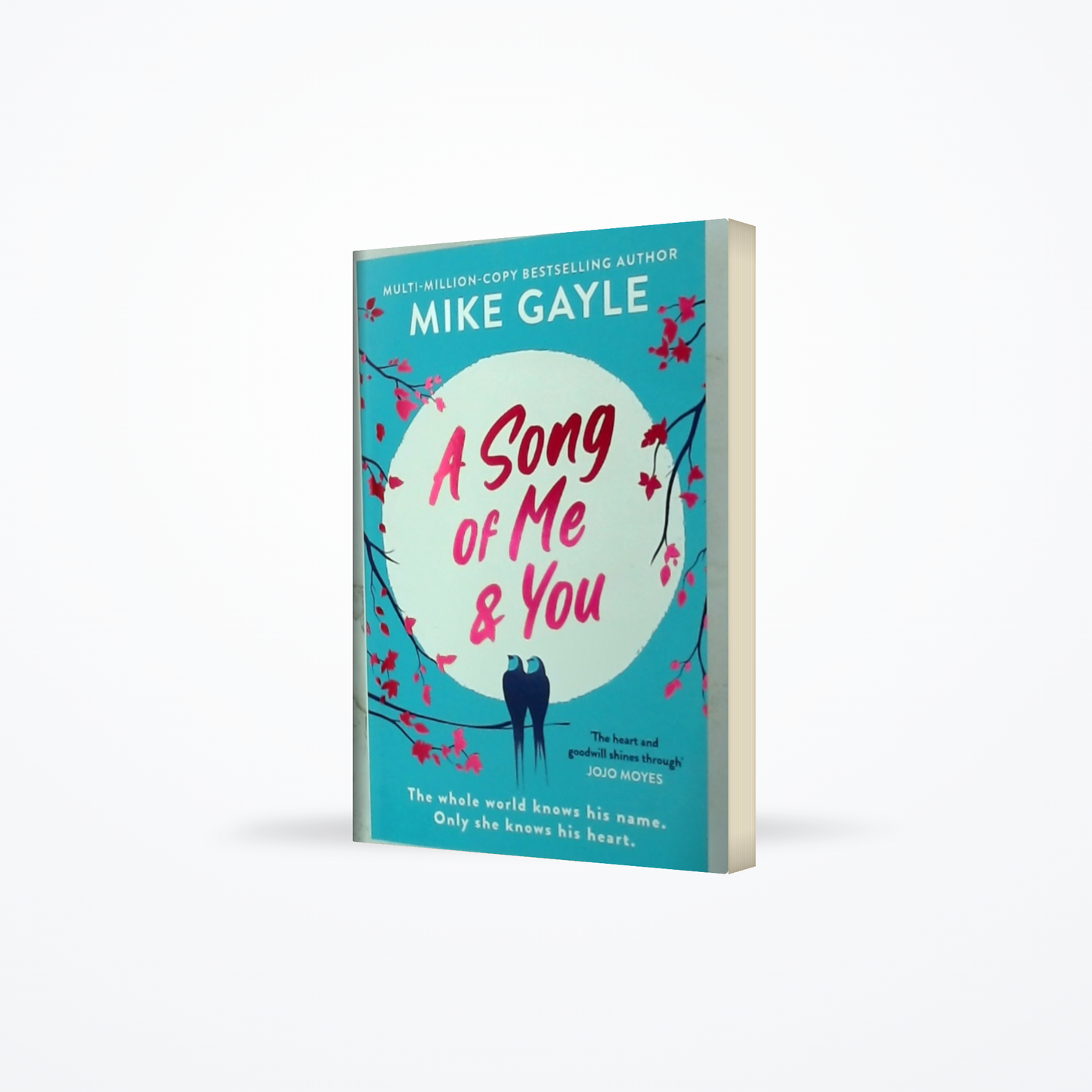 A Song of Me and You