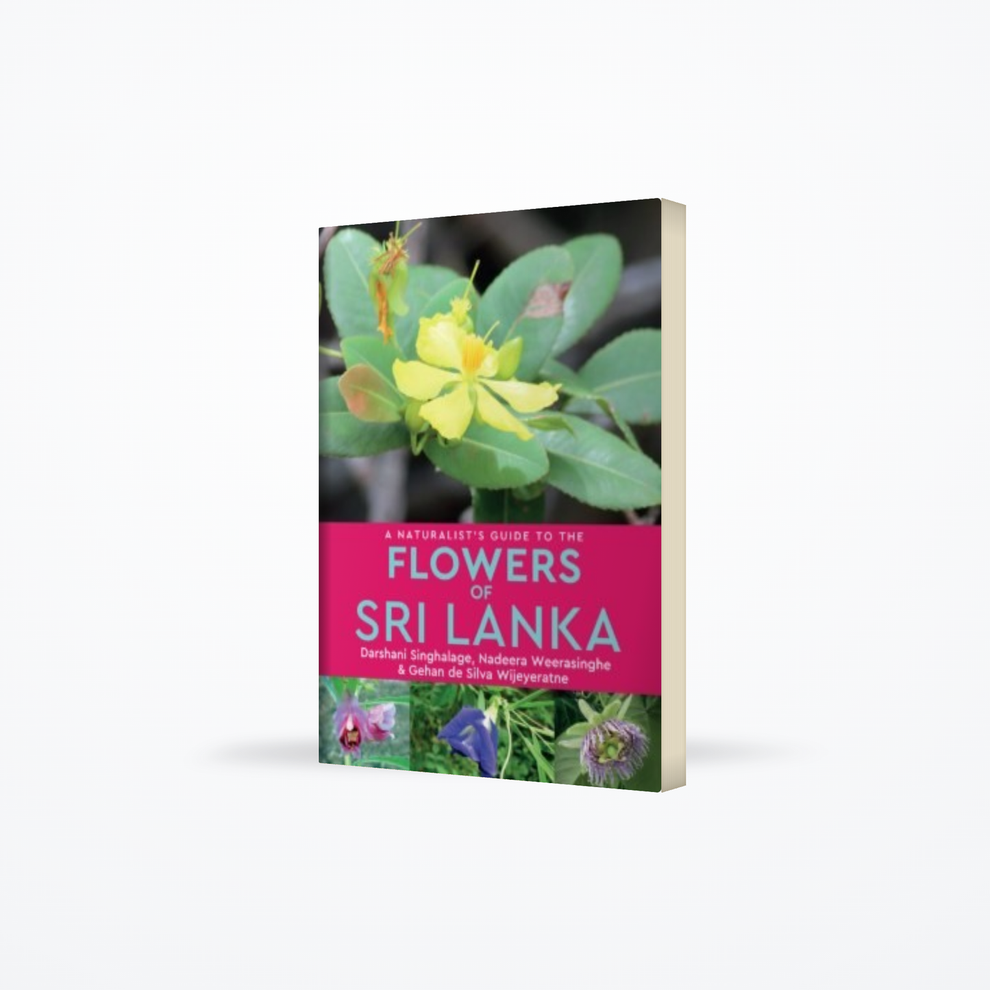 Naturalist’s Guide To The Flowers Of Sri lanka