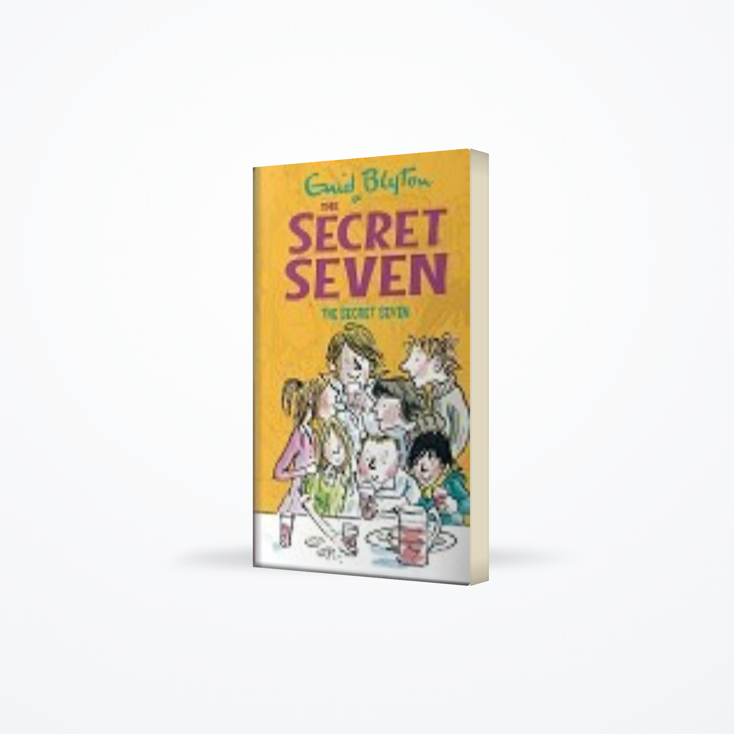 Secret Seven 1 – The Secret Seven