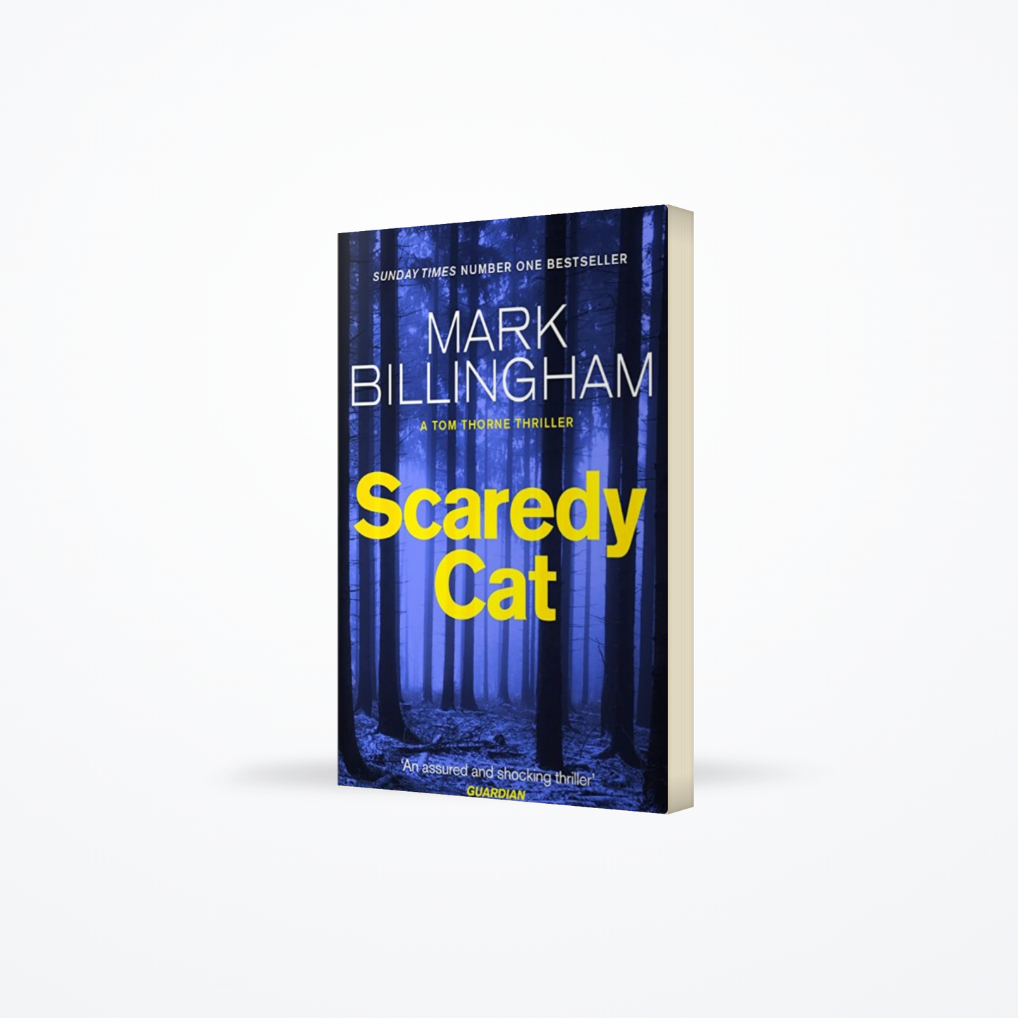 Scaredy Cat