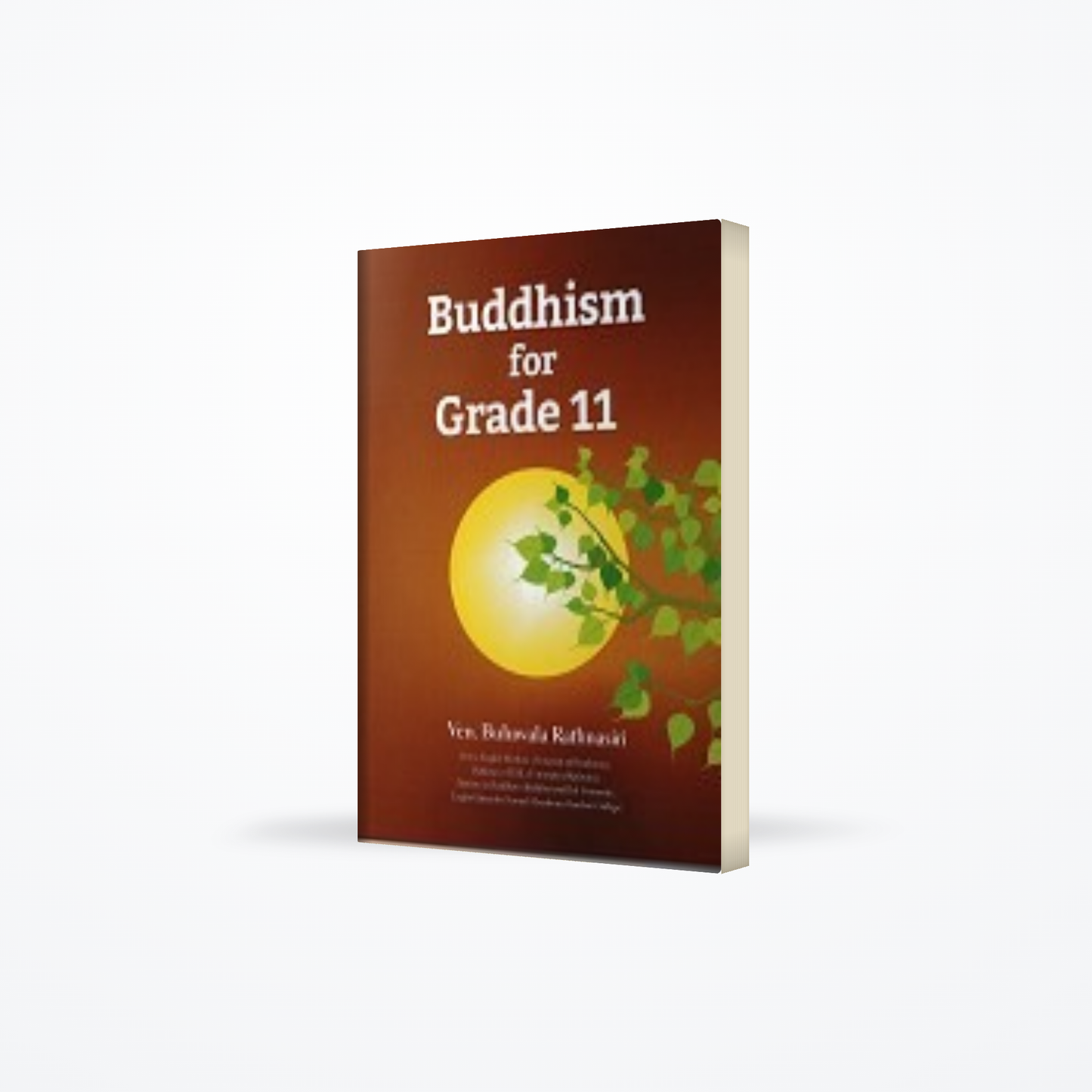 Buddhism For Grade 11