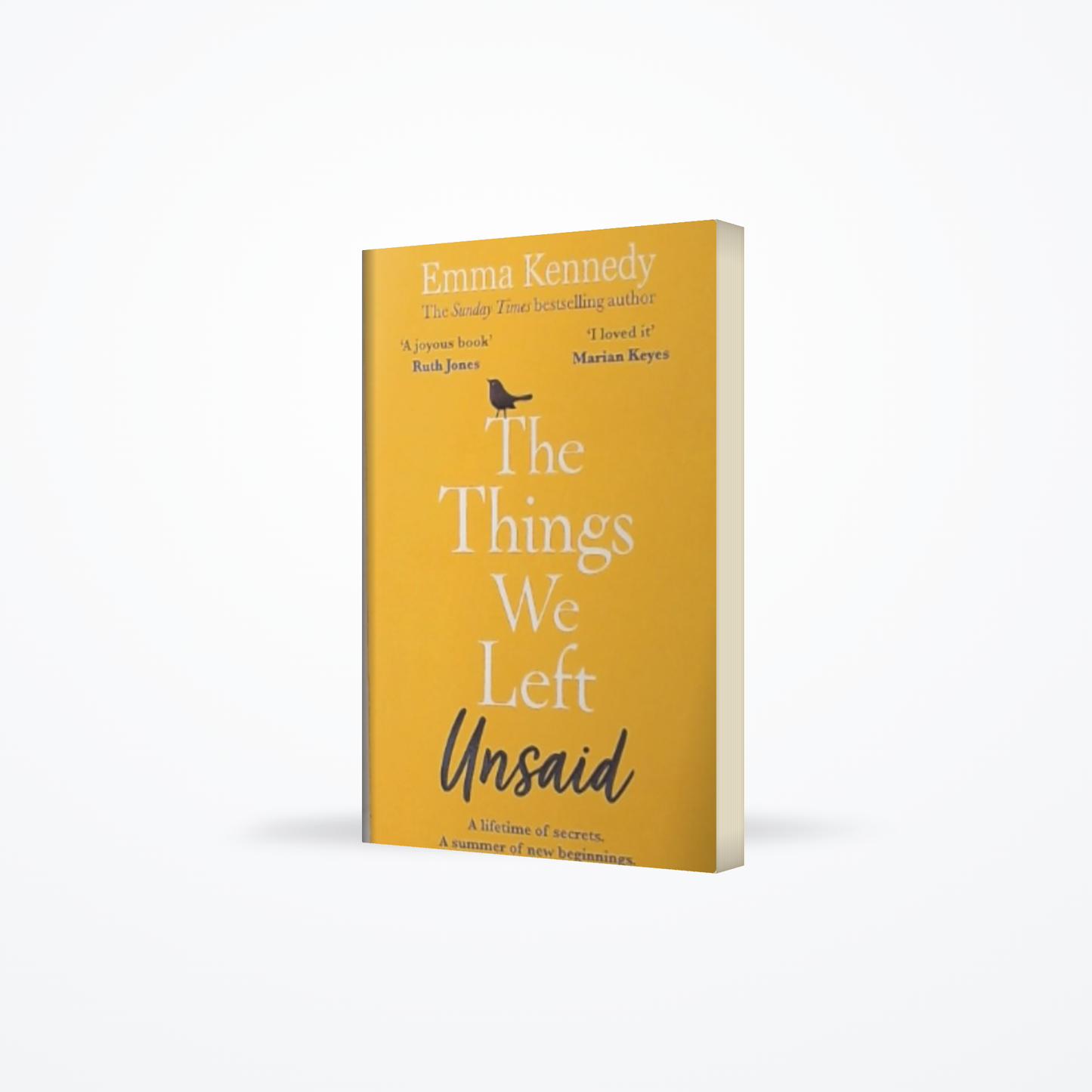The Things We Left Unsaid