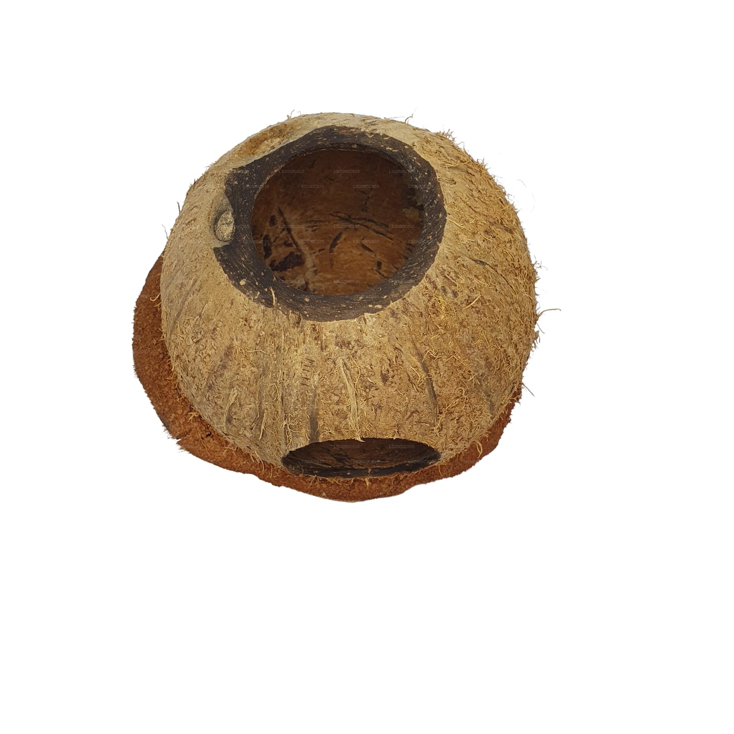Bivenro Natural Coconut Bird Nest With Husk Cap Design (Free Size)