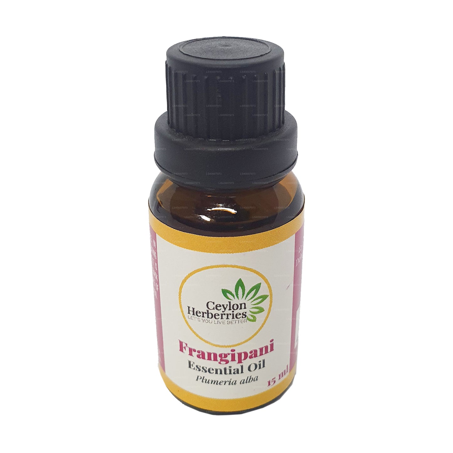 Ceylon Herberries Frangipani eterisk olja (Plumeria alba) 15ml