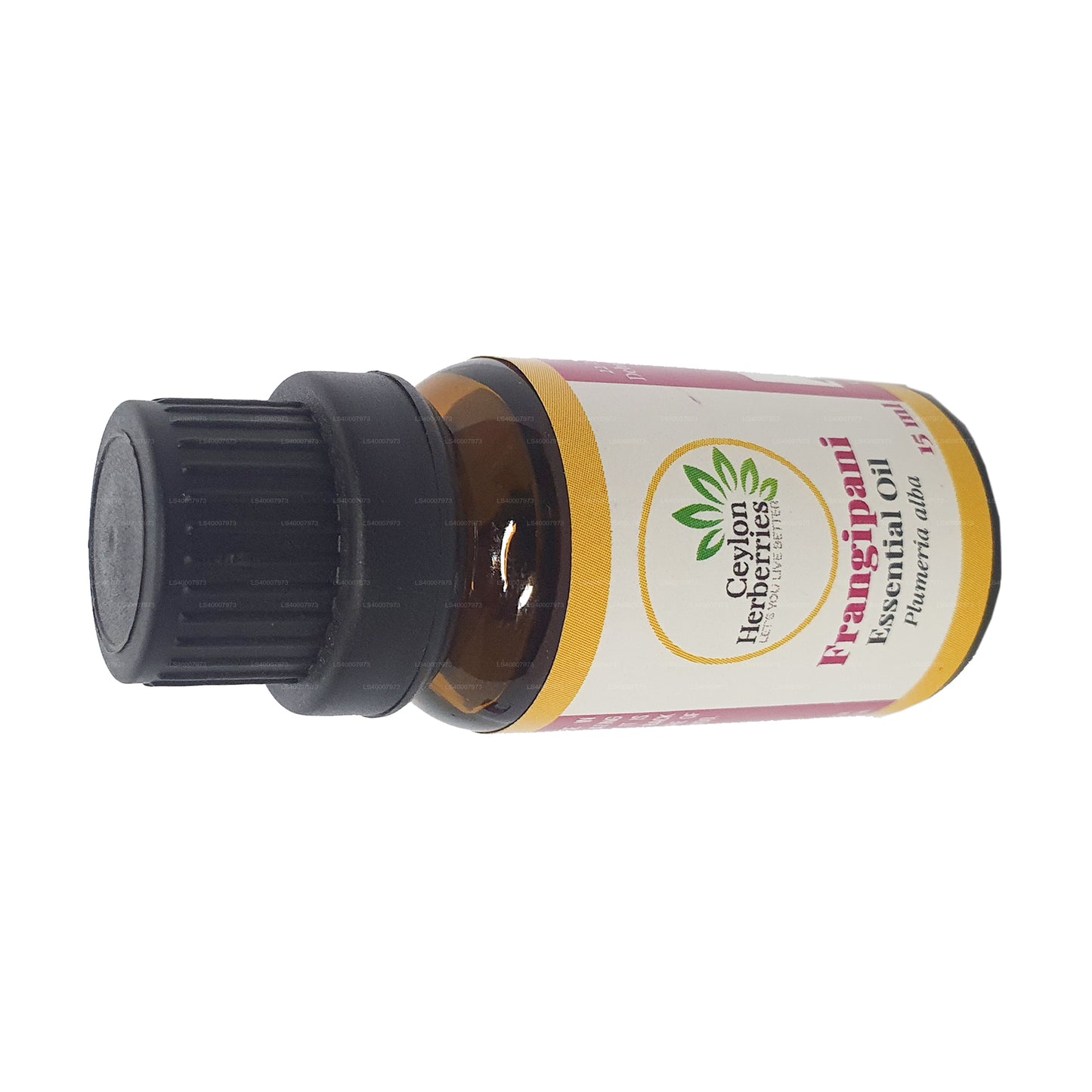 Ceylon Herberries Frangipani eterisk olja (Plumeria alba) 15ml